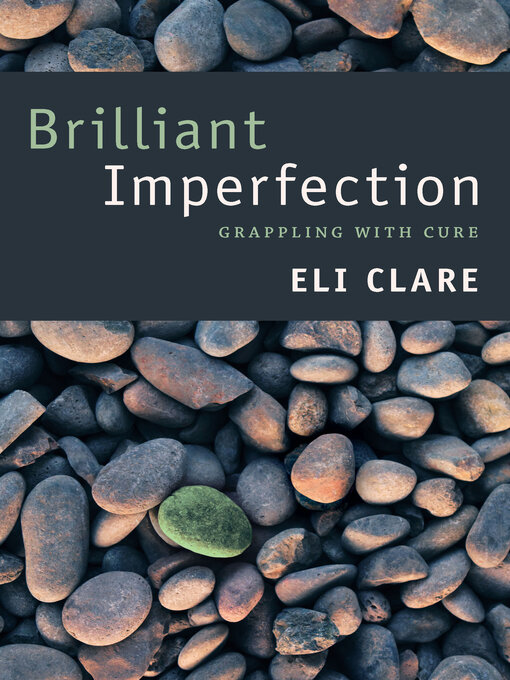 Title details for Brilliant Imperfection by Eli Clare - Wait list